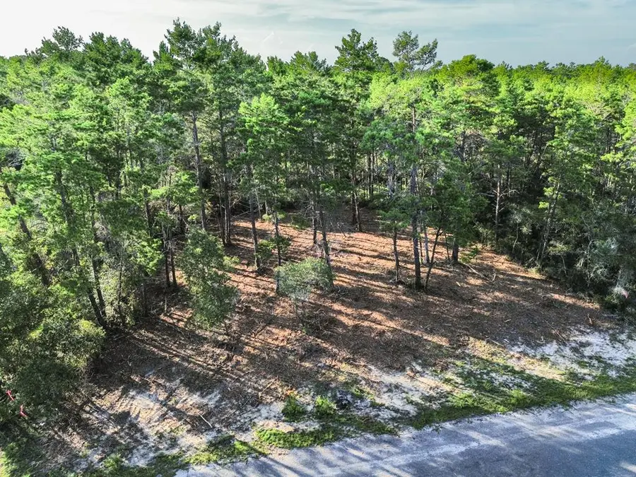 1931 Cape St, Carrabelle, FL 32322 - #3