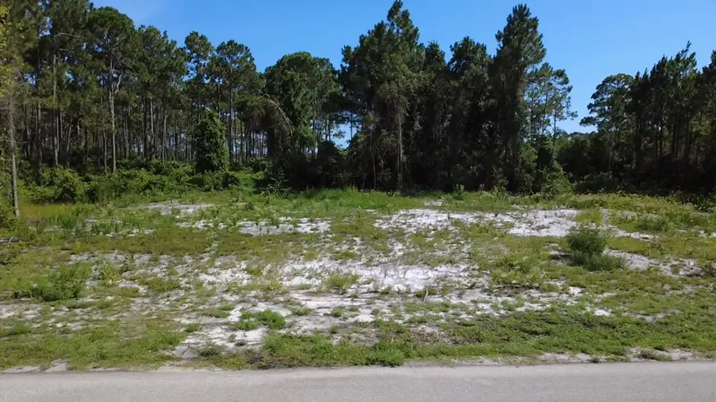 812-816 Ne 6th St, Carrabelle, FL 32322 - #1