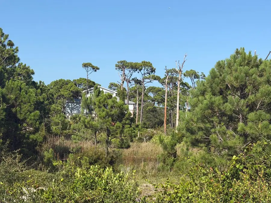 TBD Cape San Blas Rd, Cape San Blas, FL 32456 - #2