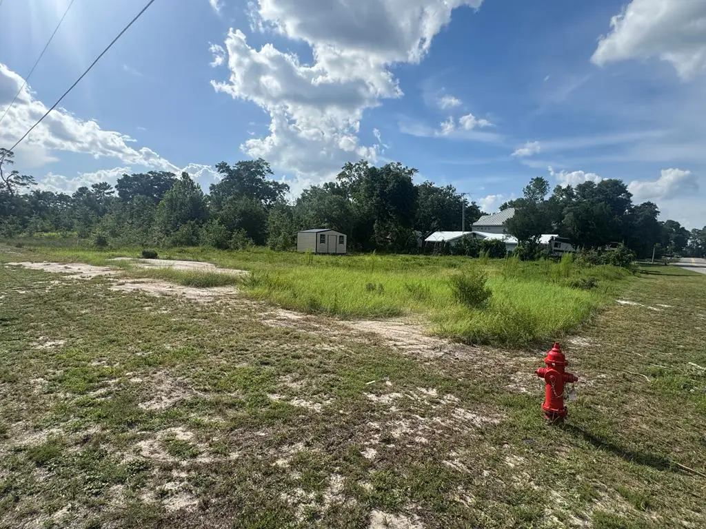 301 W 12th St, Carrabelle, FL 32322 - #1