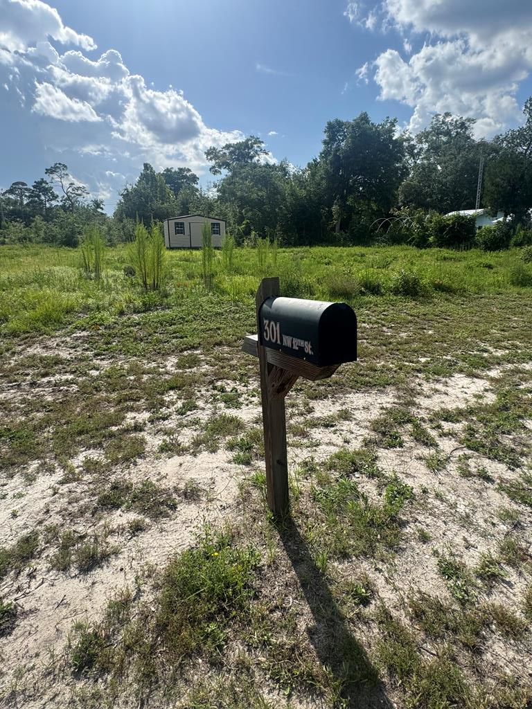 303 Nw 12th St, Carrabelle, FL 32322 - #1