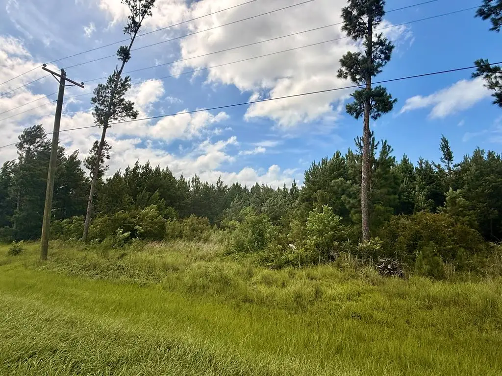5861 Cr 386 N, Wewahitchka, FL 32465 - #1