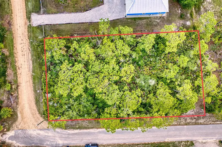 741 W Bay Shore Dr, Saint George Island, FL 32328 - #3