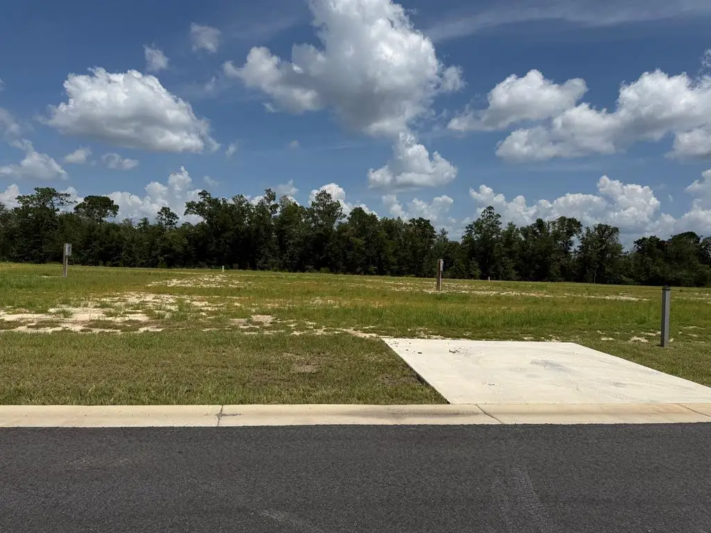 188 Kiera Ct, Wewahitchka, FL 32465 - #1