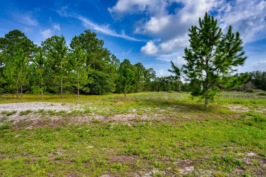 359 Gramercy Plantation Blvd, Eastpoint, FL 32328 - #2