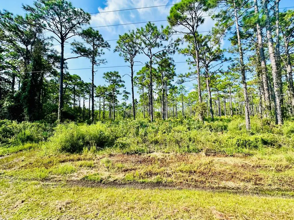 247 Twin Lakes Rd, Eastpoint, FL 32328 - #1