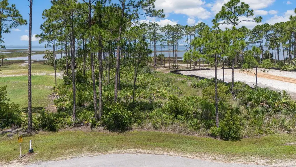 TBD Heron Bay Ln, Port Saint Joe, FL 32456 - #1