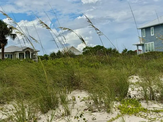 2278 Sailfish Dr, Saint George Island, FL 32328 - #1