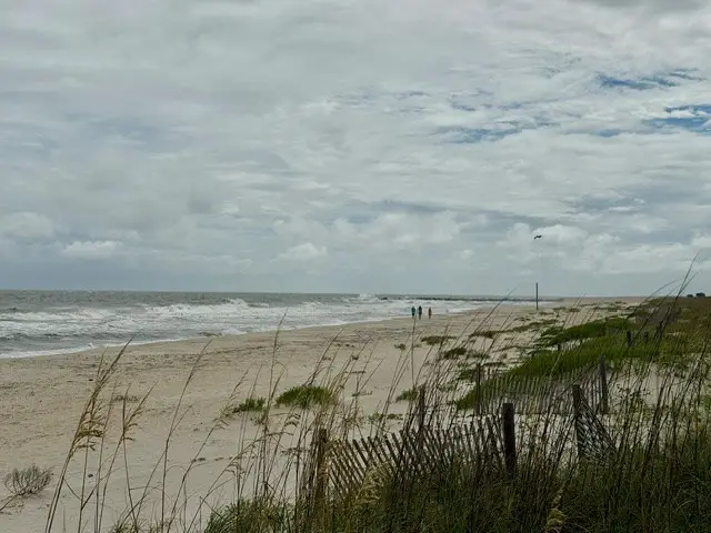 2278 Sailfish Dr, Saint George Island, FL 32328 - #3
