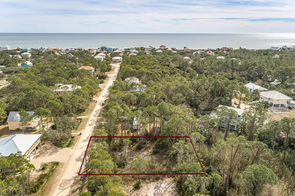 316 Nedley St, Saint George Island, FL 32328 - #1
