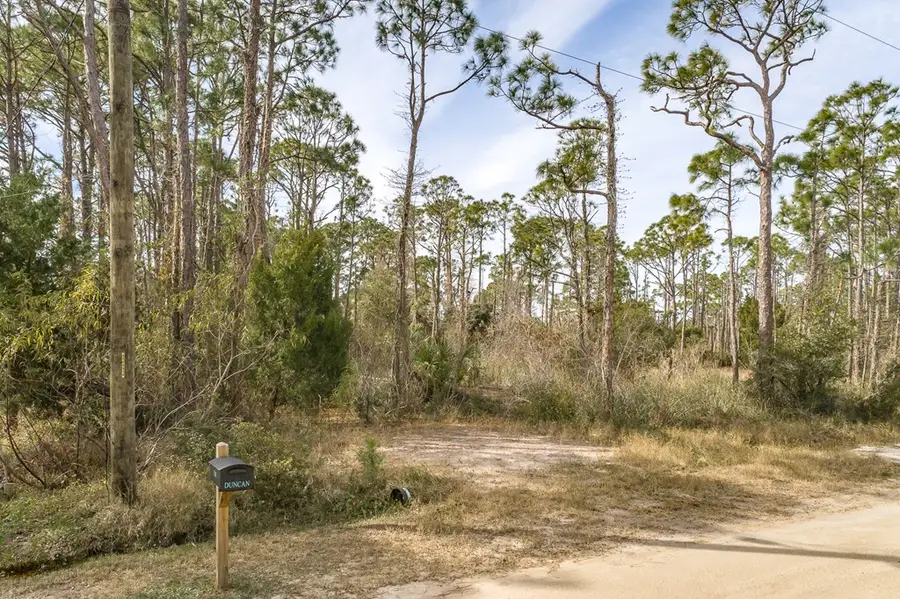 316 Nedley St, Saint George Island, FL 32328 - #2