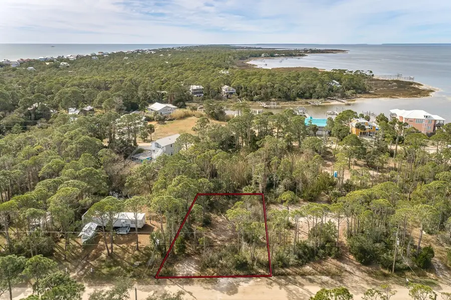 316 Nedley St, Saint George Island, FL 32328 - #3