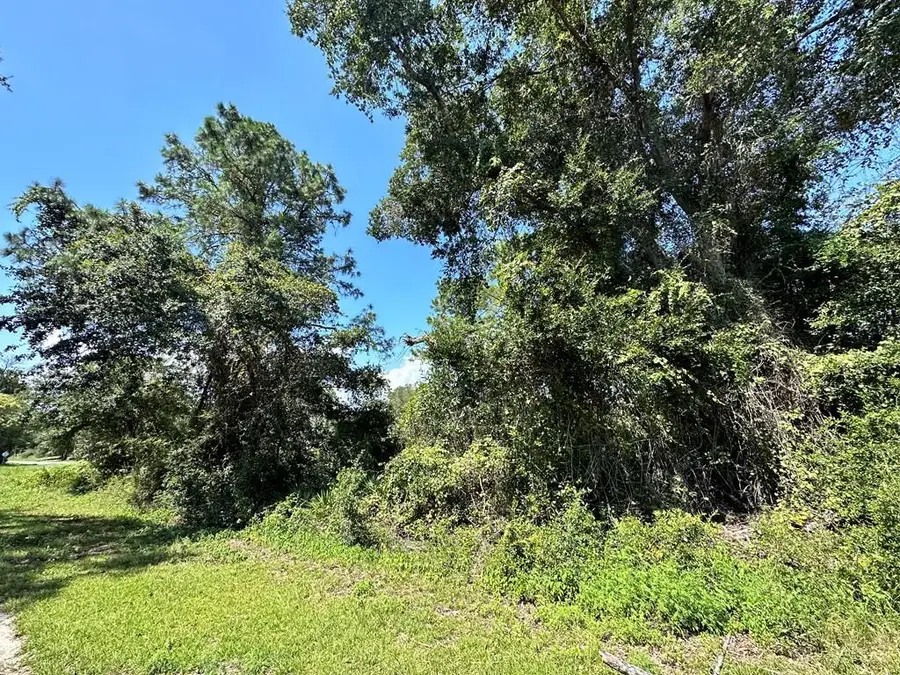 2530 Oleander Ter, Lanark Village, FL 32323 - #2