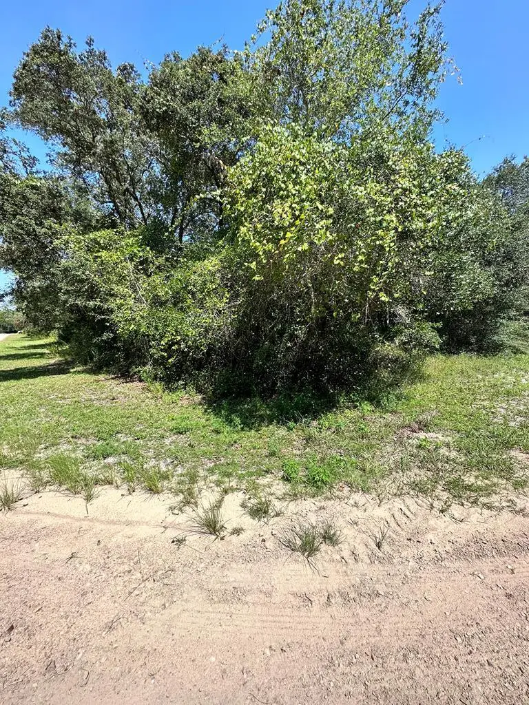 2530 Oleander Ter, Lanark Village, FL 32323 - #3