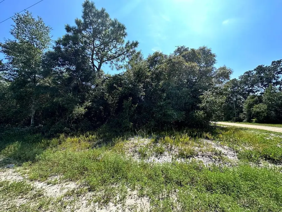 2515 Oleander Ter, Lanark Village, FL 32323 - #2
