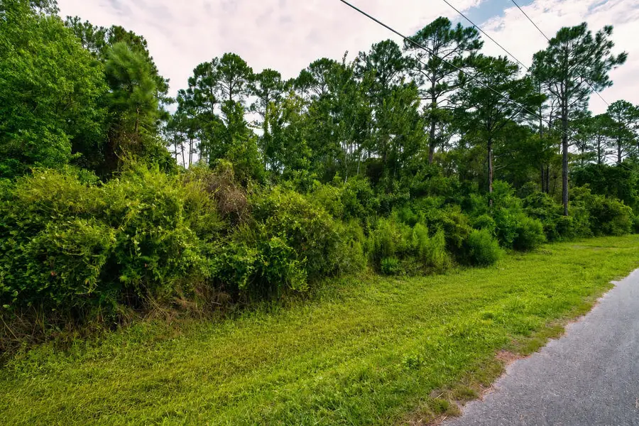 133 West Dr, Carrabelle, FL 32322 - #3