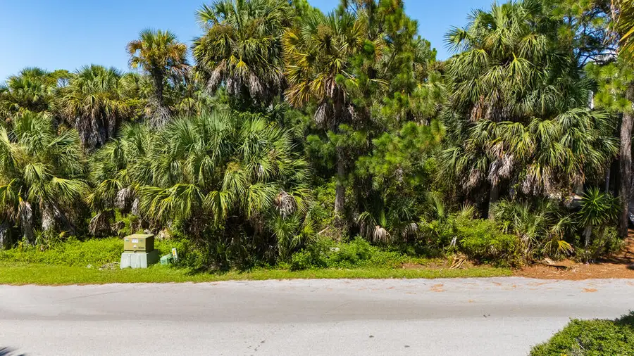 2304 Tally Ho Rd, Saint George Island, FL 32328 - #2