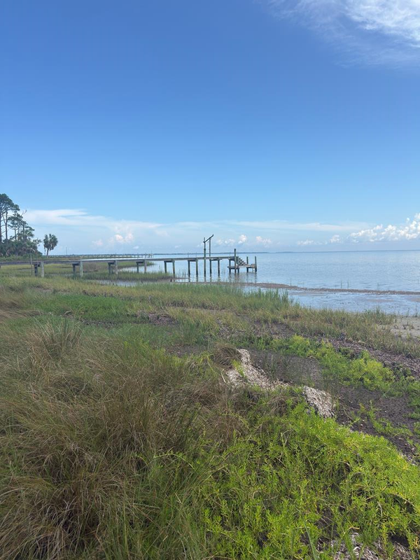 Lot 1 Cape San Blas Rd, Cape San Blas, FL 32456