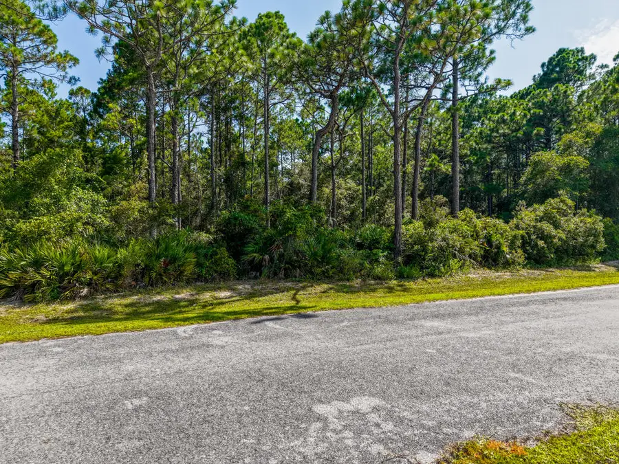 292 Gramercy Plantation Blvd, Eastpoint, FL 32328 - #2