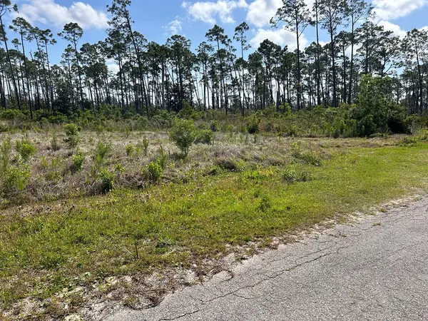TBD Olive Ave, Port St. Joe, FL 32456