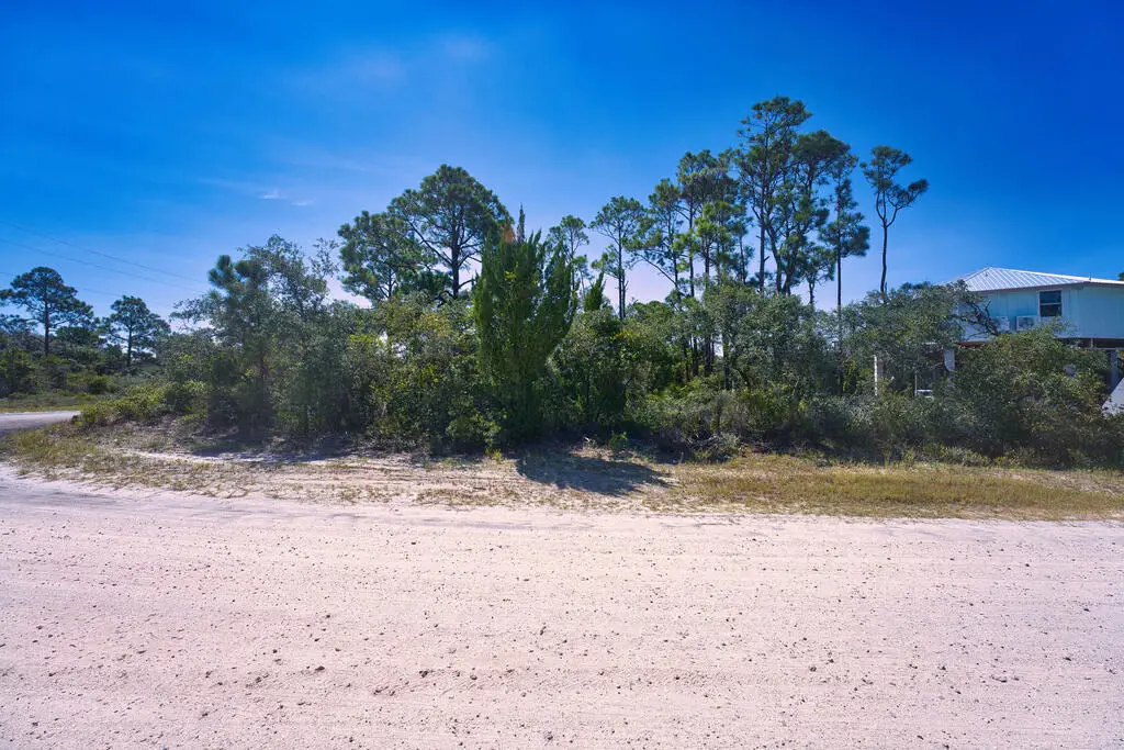 1100 W Pine Ave, Saint George Island, FL 32328 - #1