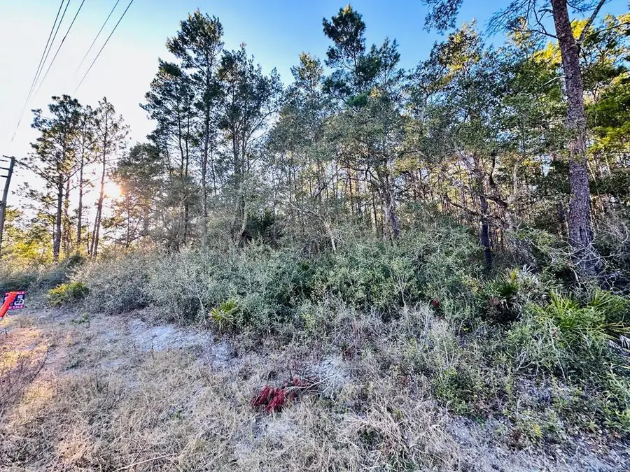 2043 Hwy 98 W, Carrabelle, FL 32322 - #2