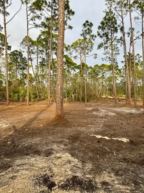 Lot 12 Watermark Way, Port Saint Joe, FL 32456 - #2