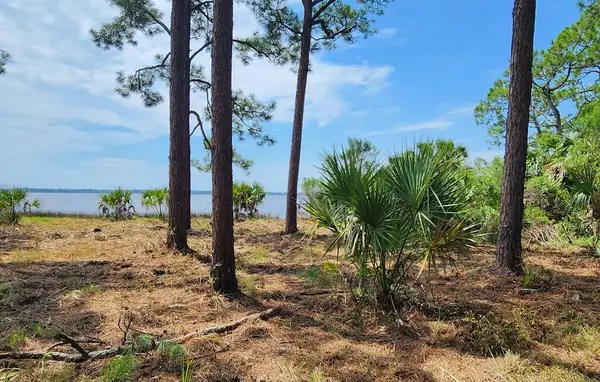 Lot 1 River Cove Rd, Panacea, FL 32346