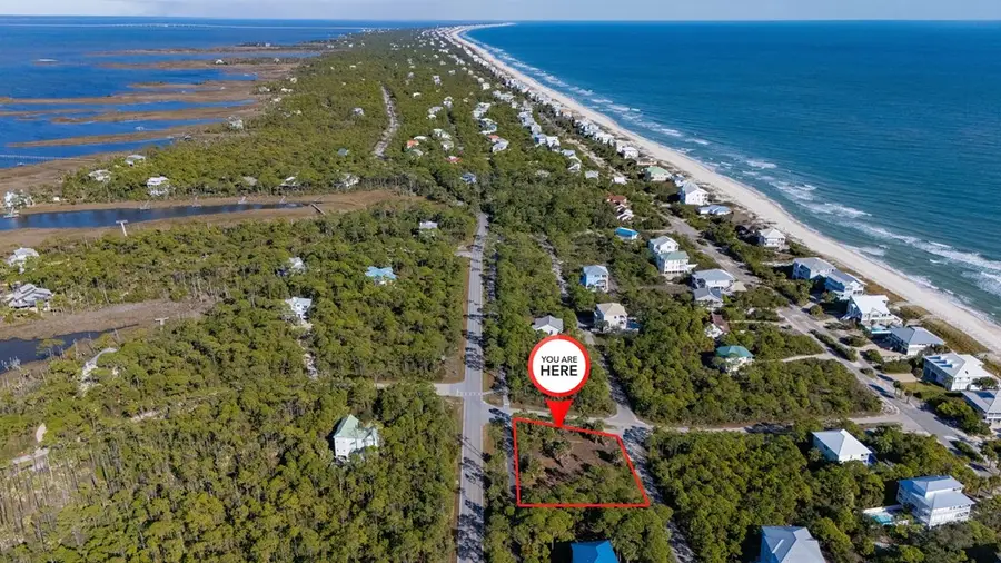 1944 Reed Ct W, Saint George Island, FL 32328 - #3