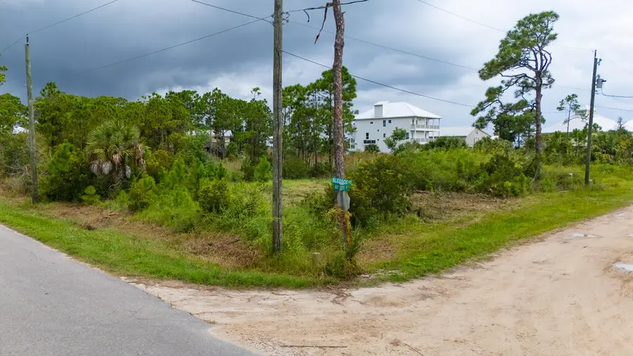 449 W Bay Shore Dr, Saint George Island, FL 32328 - #3