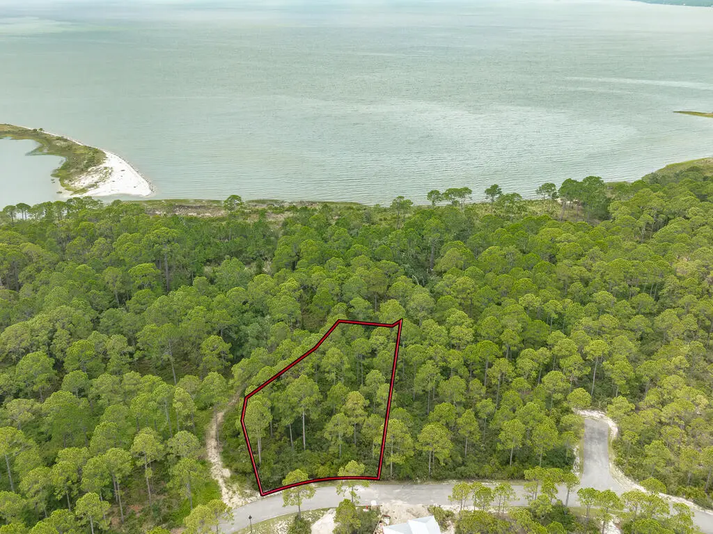 142 Lightning Bug Ln, Saint Teresa, FL 32358 - #1