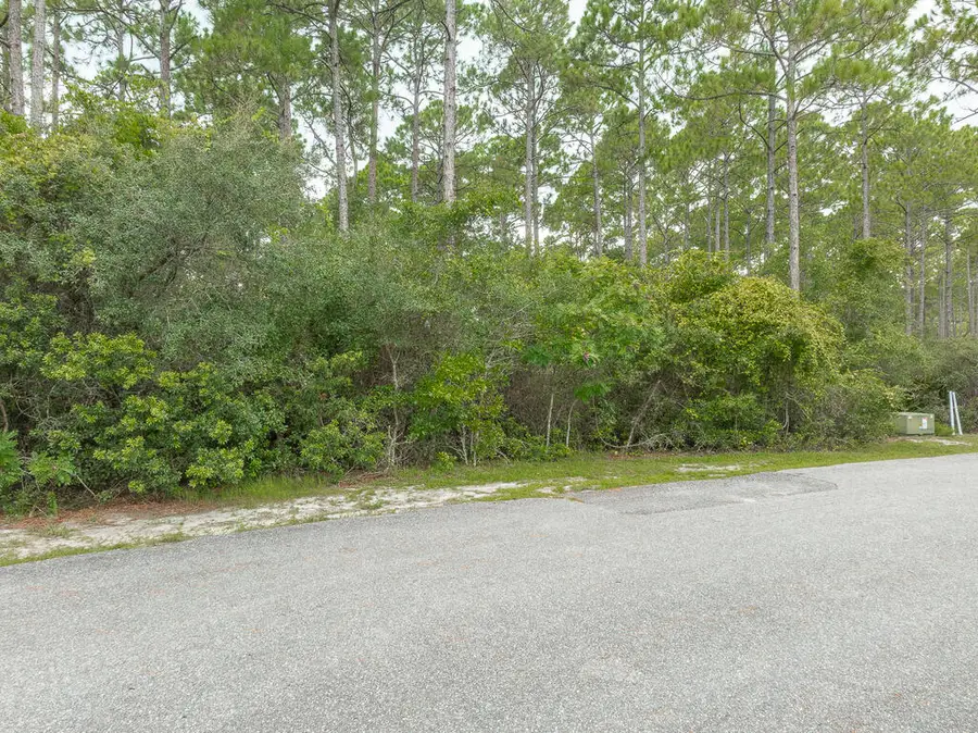 142 Lightning Bug Ln, Saint Teresa, FL 32358 - #2