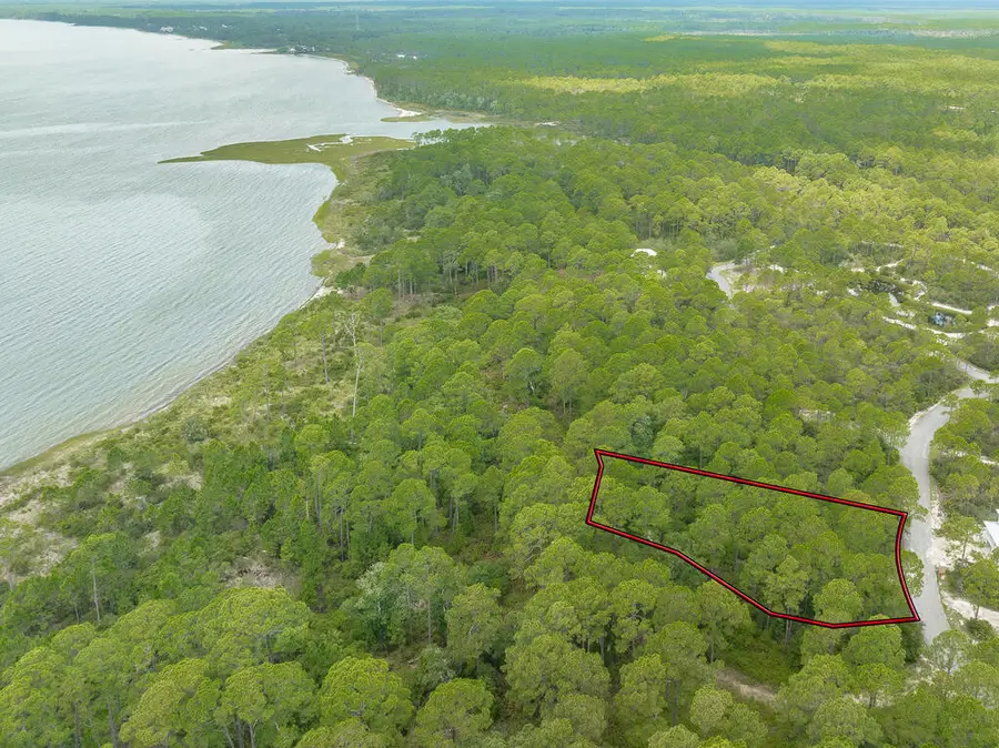 142 Lightning Bug Ln, Saint Teresa, FL 32358 - #3