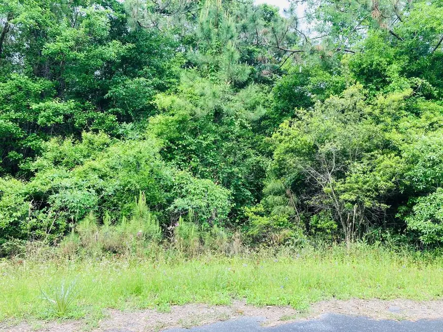 53 Bluewater Bay Cir, Carrabelle, FL 32322 - #2
