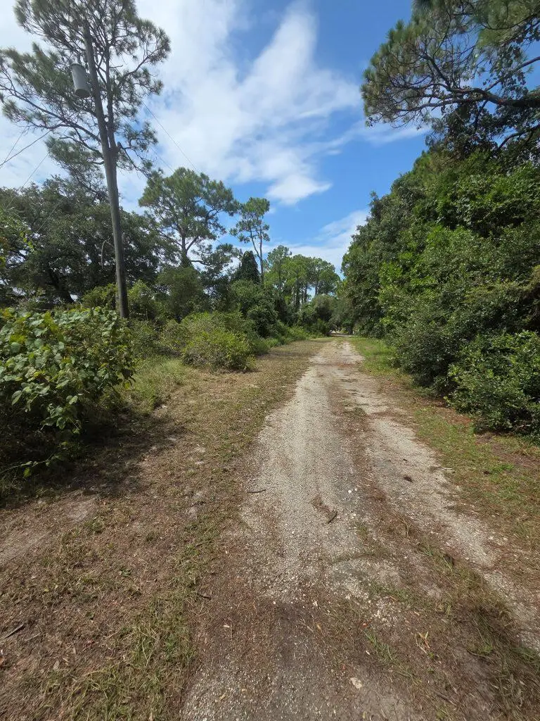 2648-64 Oak St, Carrabelle, FL 32322 - #3
