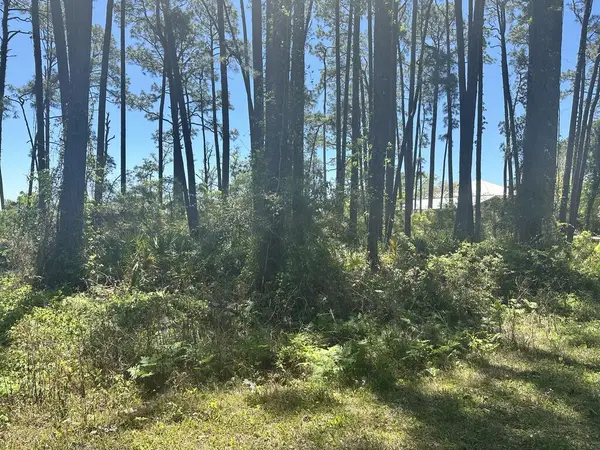 2790 Highway 98, Carrabelle, FL 32322