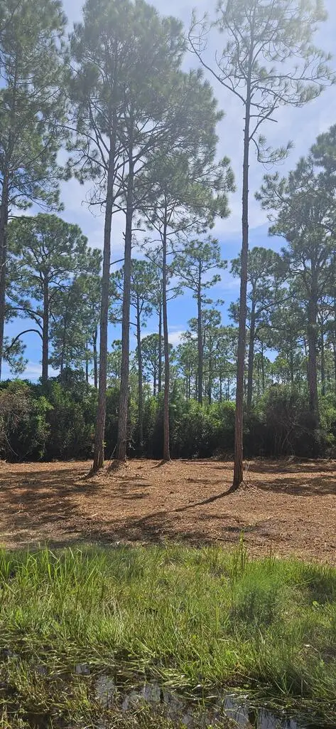 178 Baywood Dr, Carrabelle, FL 32322 - #3