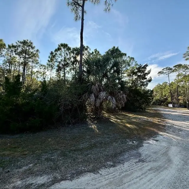1259 E Gulf Beach Dr, Saint George Island, FL 32328 - #1