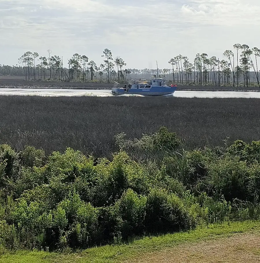 Lot 40 E Bay Dr, Wewahitchka, FL 32465 - #3