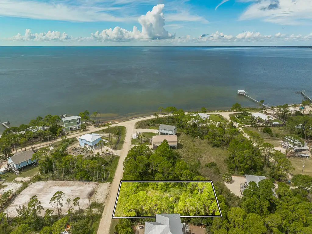 331 Nedley St, Saint George Island, FL 32328 - #1