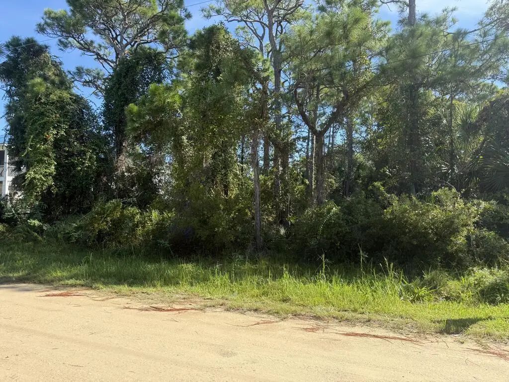 139 Bradford St, Saint George Island, FL 32328 - #1