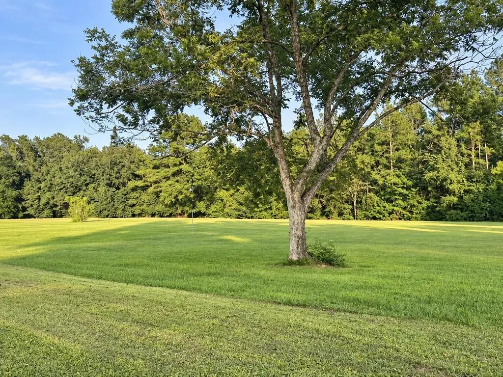 TBD Hwy 71 N, Wewahitchka, FL 32465 - #1
