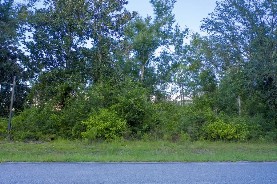 Lot 1 Land Dr, Wewahitchka, FL 32465 - #2