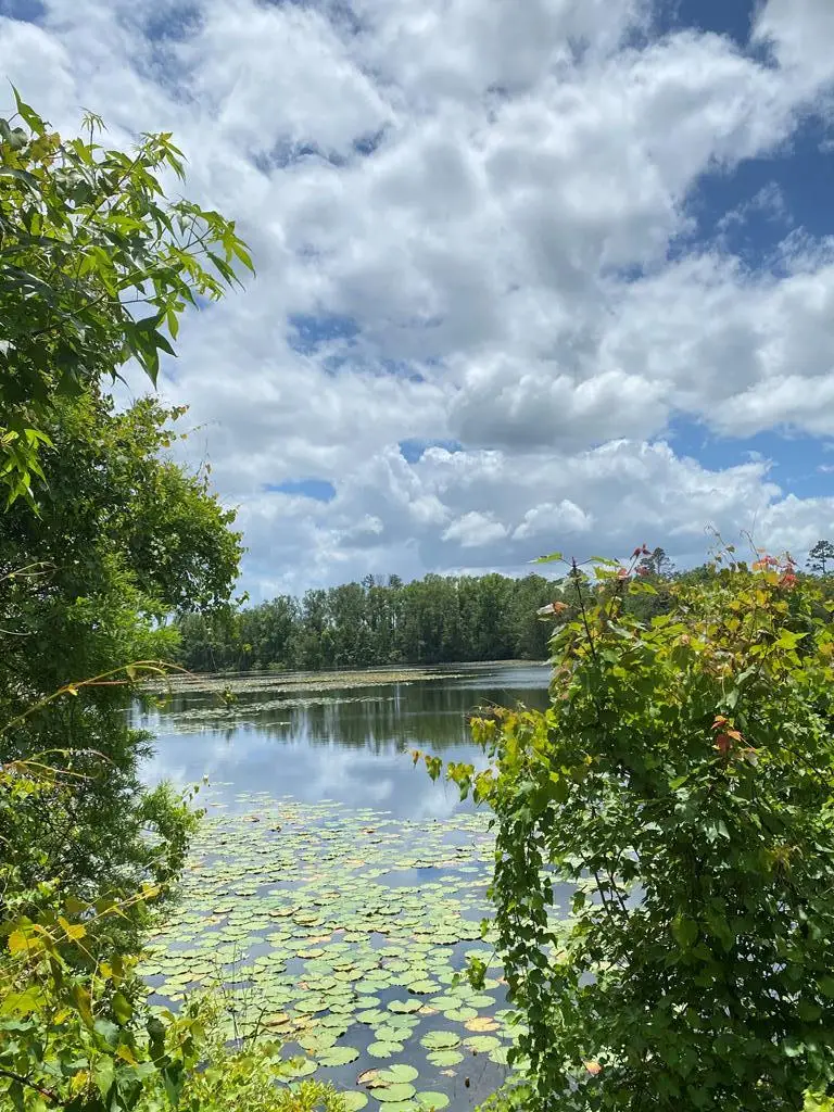 Lot 1 Land Dr, Wewahitchka, FL 32465 - #3