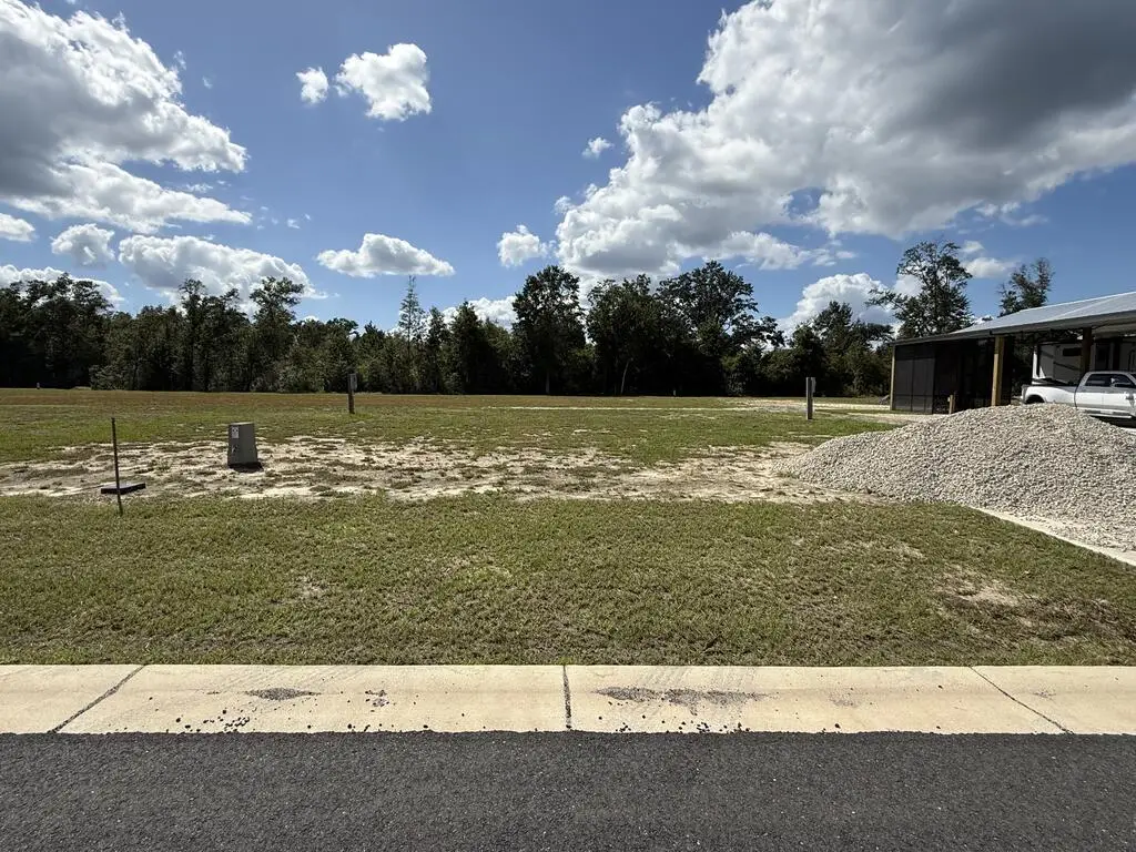 187 Kiera Ct, Wewahitchka, FL 32465 - #1