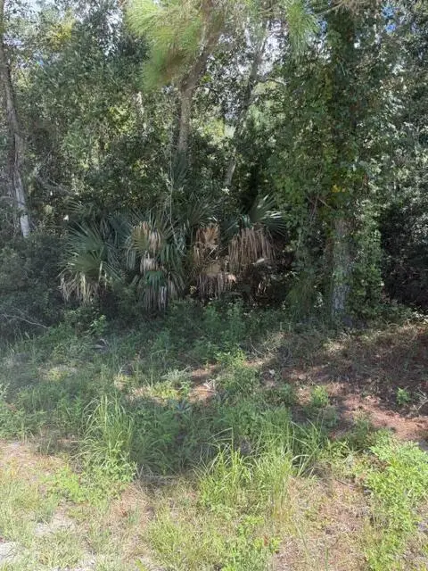 147 Doe Ln, Carrabelle, FL 32322