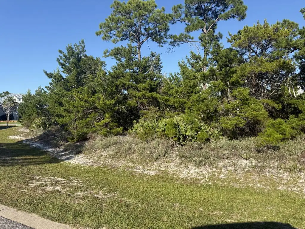 104 Conch St, Port Saint Joe, FL 32456 - #1