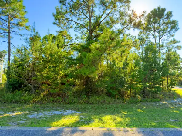 213 Stingray Ln, Port St. Joe, FL 32456