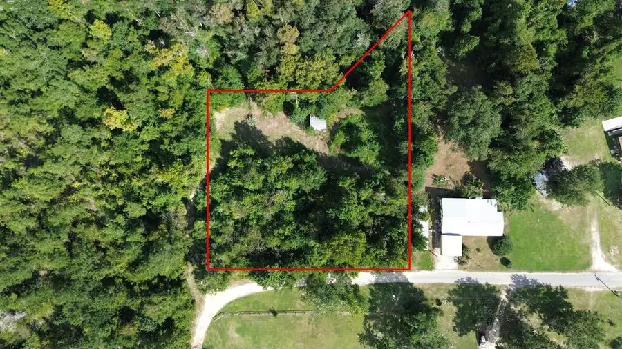 388 N Bass Dr, Wewahitchka, FL 32465 - #2