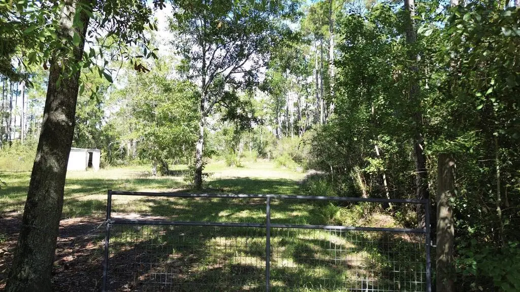 6795 Larimore St, Wewahitchka, FL 32465 - #1